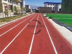 西藏阿里地区改则县麻米乡小学塑胶跑道项目